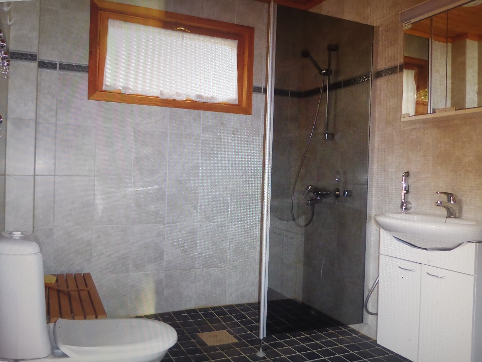 Großes Tageslicht Duschbad, WC, Zugang zur Elektrosauna mit Tageslicht innen + Außentür zur Veranda
