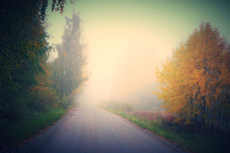 Herbst in Finnland