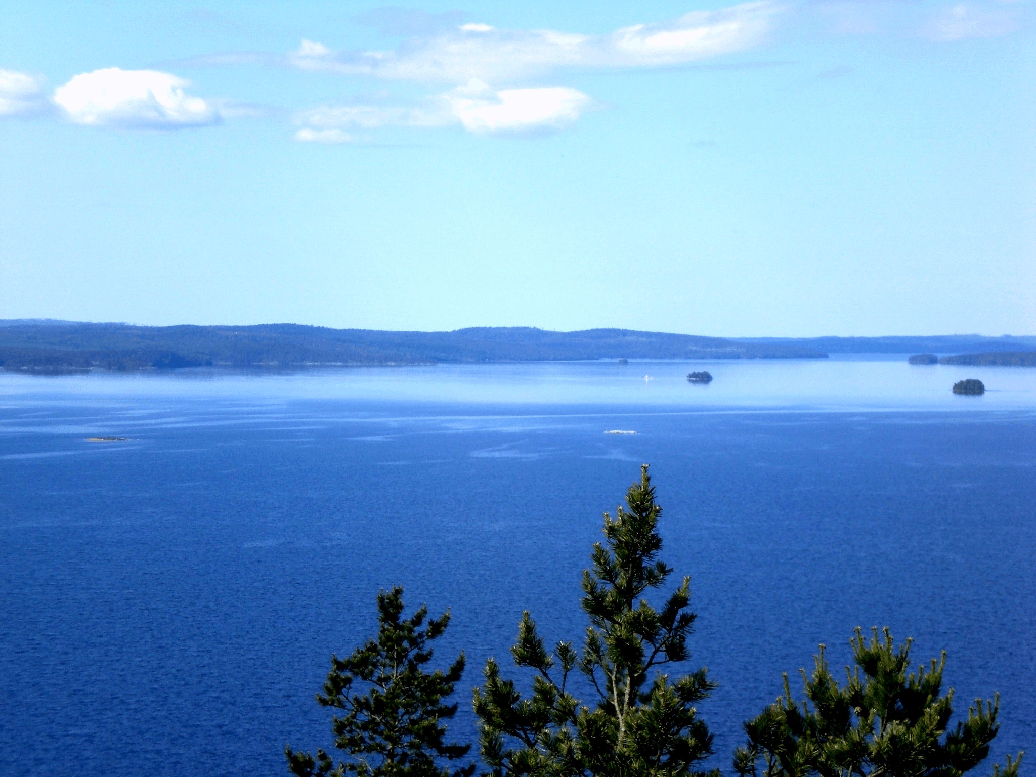 Finnish summer at Lake Päijänne National Park. Time to enjoy and relax. View from the observation tower, 1.5 km from the log house