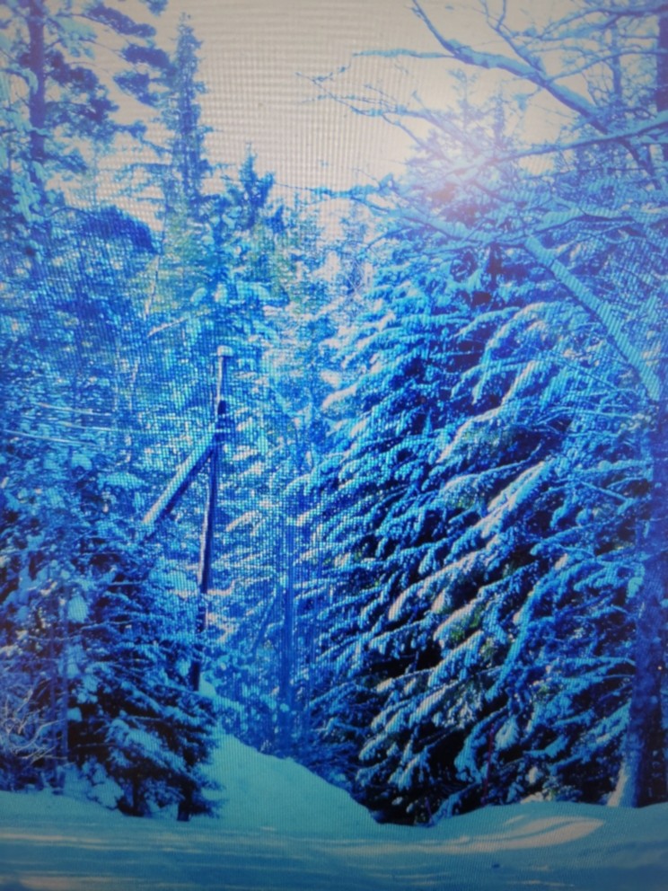 Winter Wonderland