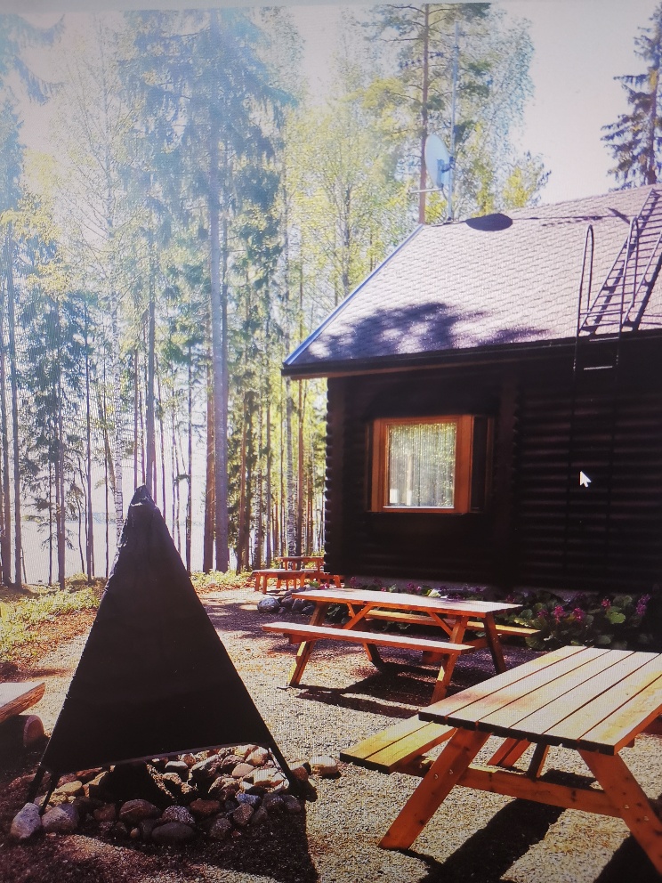 Fireplace 2