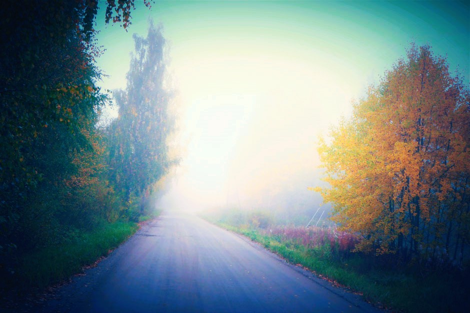 Herbst Finnland Wald Nebel