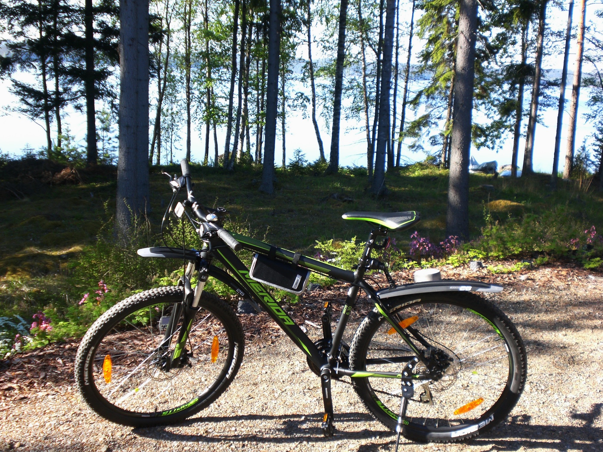 4 Sommer Bikes. Neuer Downhill Parcours in der Nähe