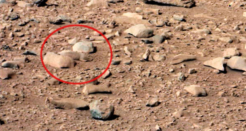 imágenes increíbles tomadas en Marte ardilla