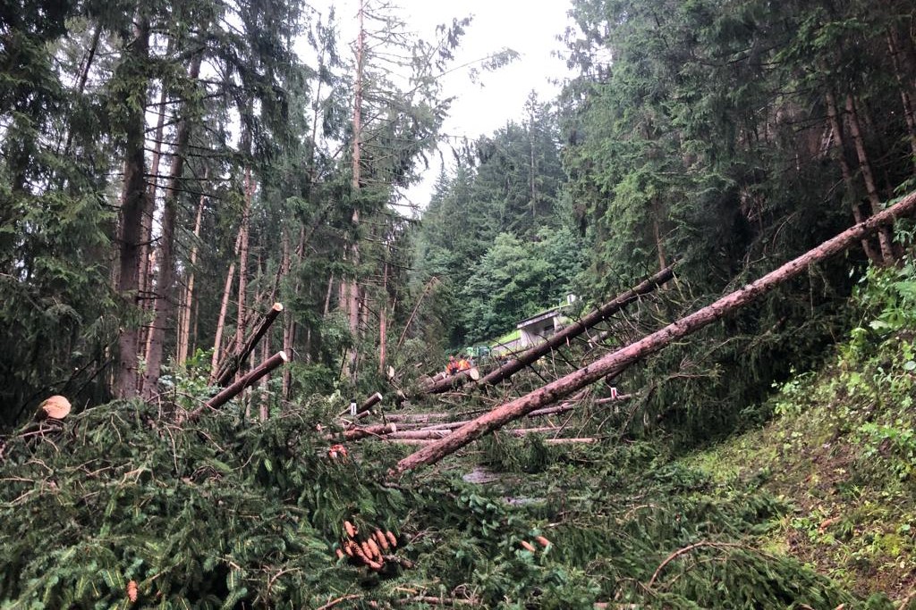 Großeinsatz nach schwerem Sturm im Raum Zell am Ziller