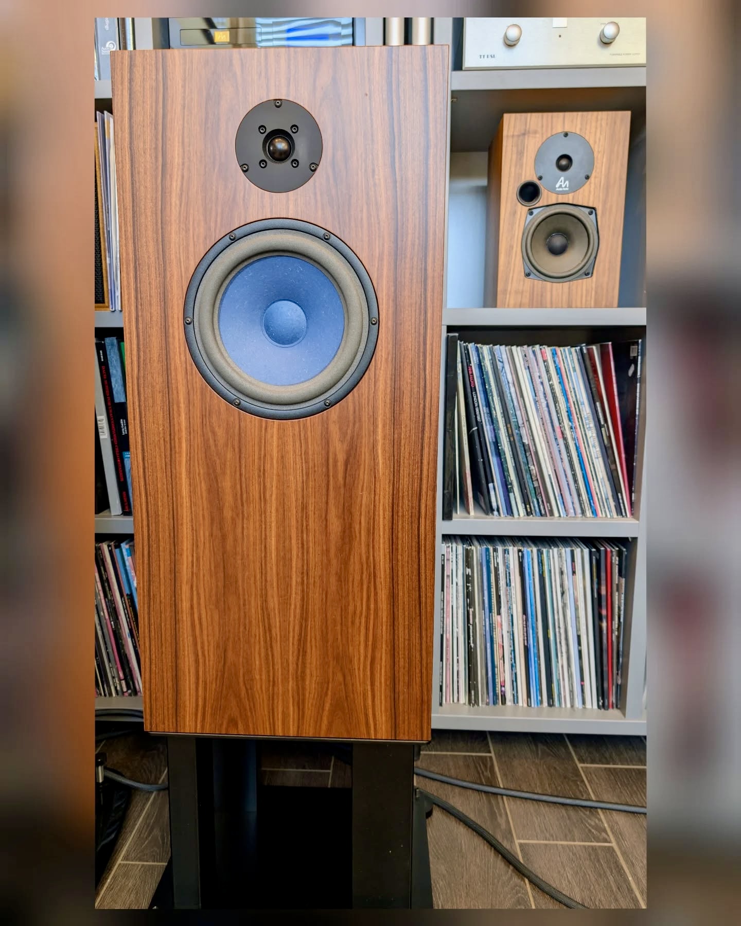 Audio Note - AN-E SPx AlNiCo