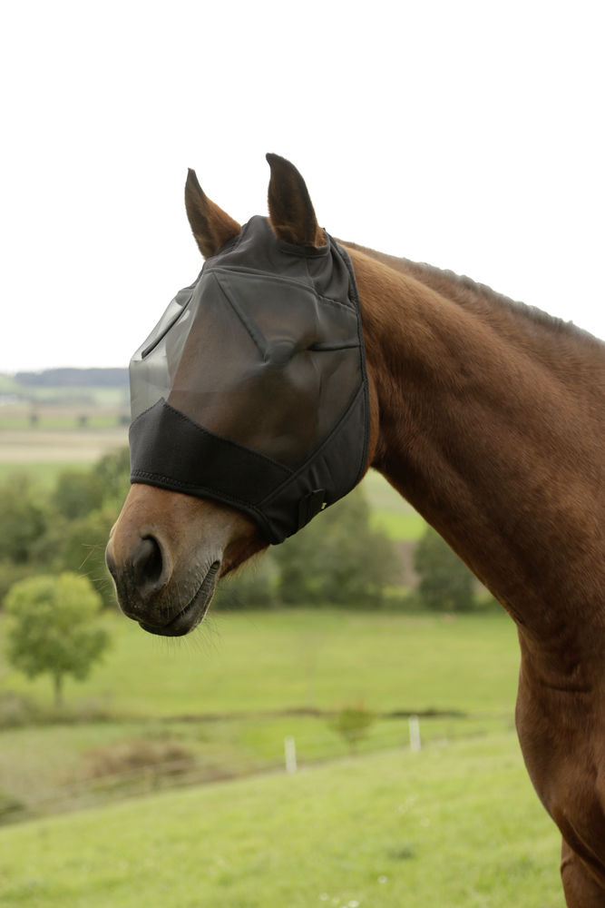 Pferd Fliegenmaske Fliegenschutzmaske Ohrenschutz Zebra Pony Cob Full