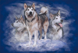 Alaskan Malamute