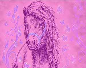 Sternenpony