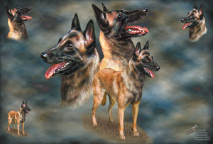 Malinoir