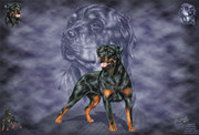Rottweiler