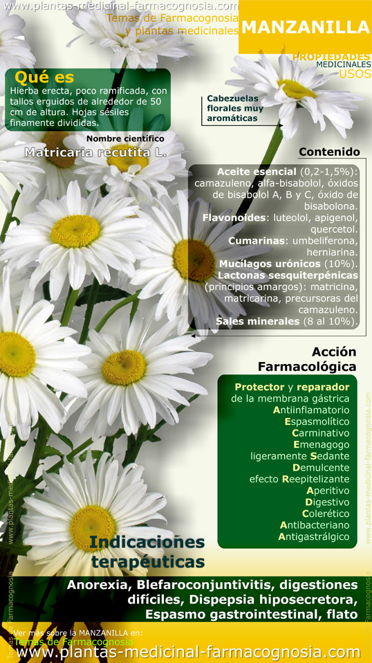 Propiedades y beneficios de la Manzanilla.Infografia Farmacognosia