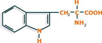 Triptófano