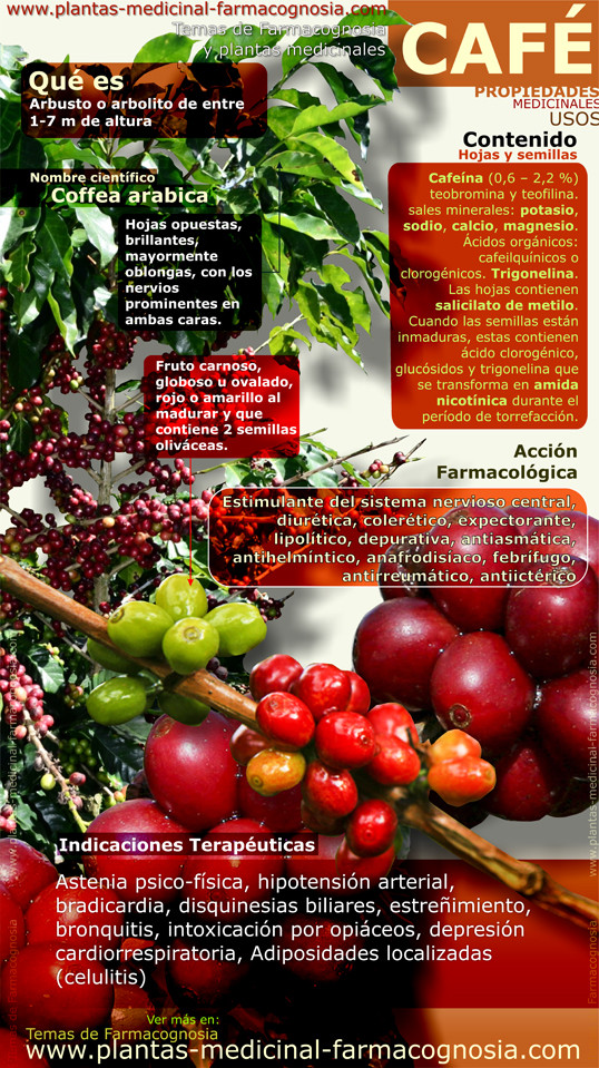 Propiedades y beneficios del Café. Infografía