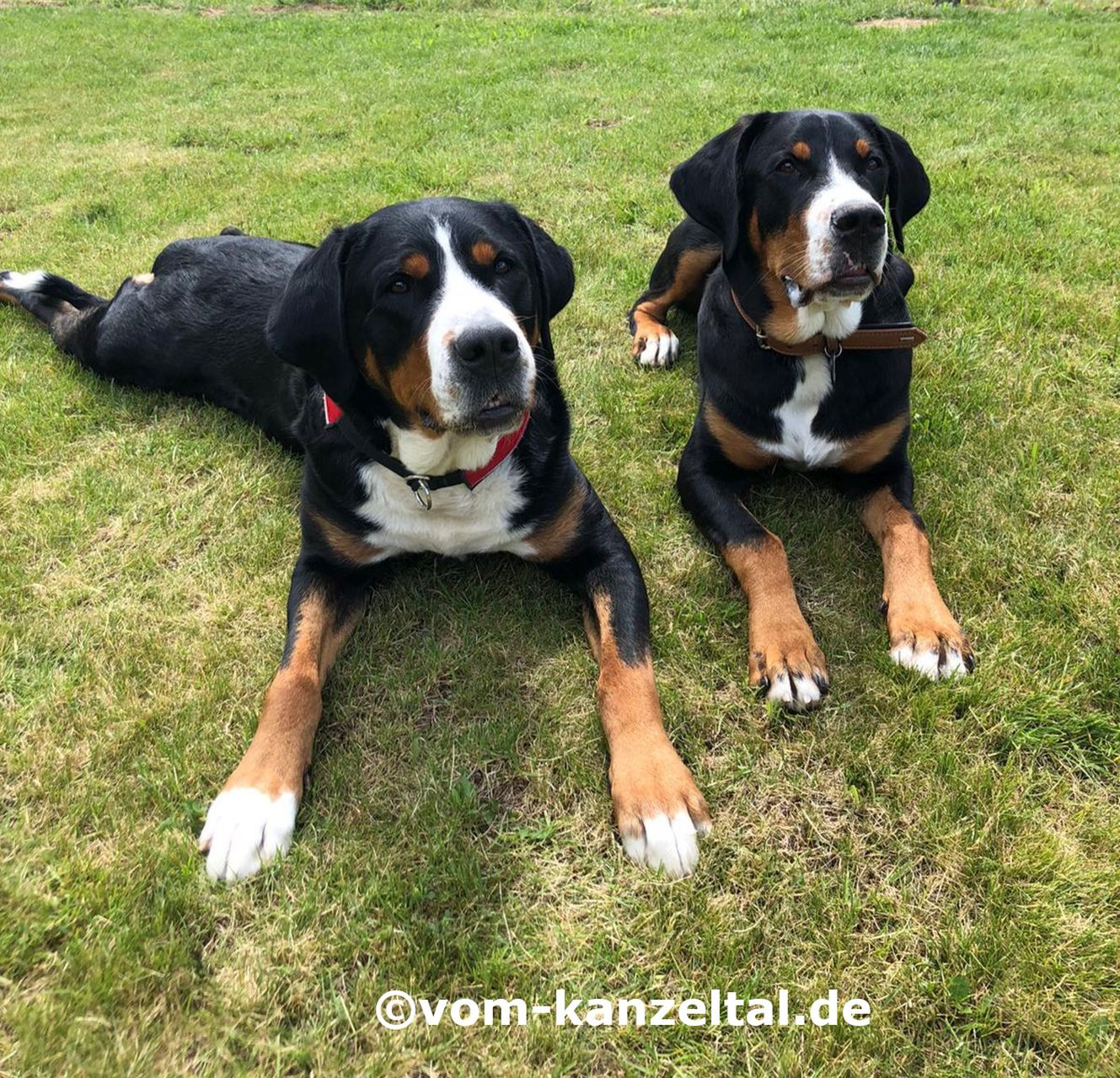 Mama Keela und Töchterlein Cleo-Romy