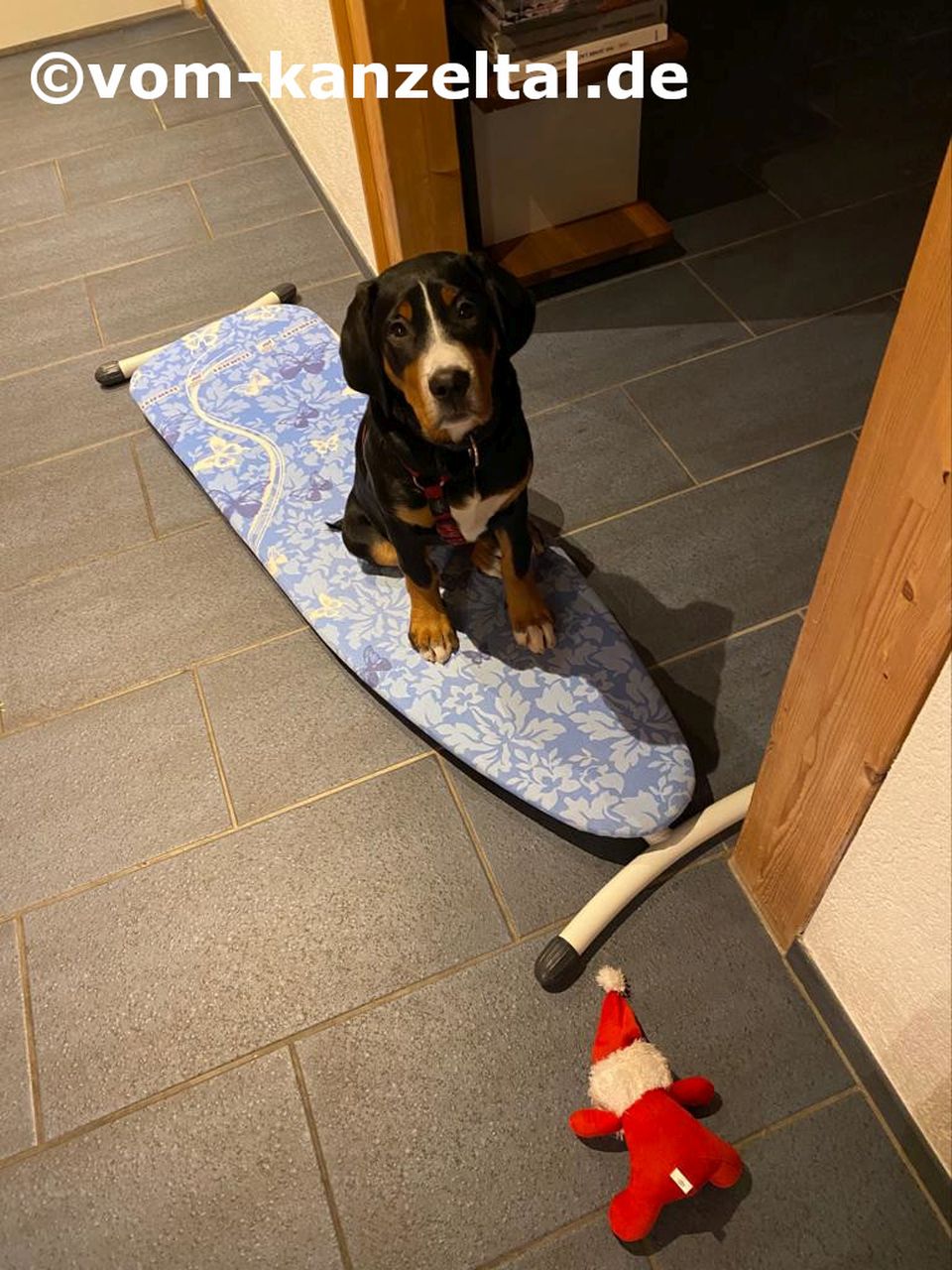 oder will Callas surfen lernen
