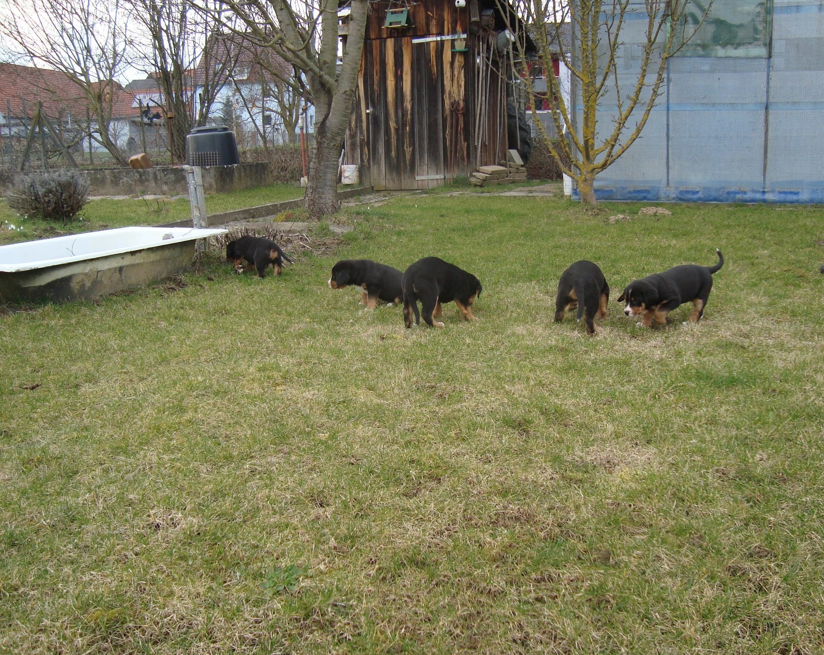 die Wusel Gusel Truppe im Garten