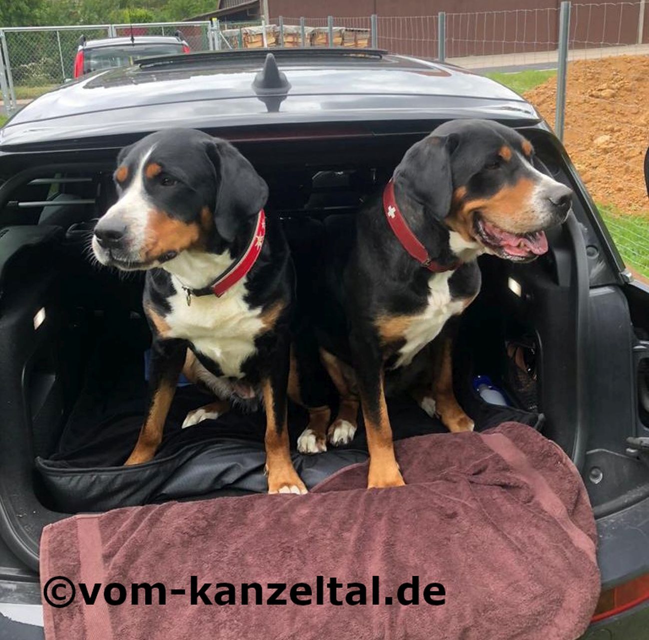 Oma Bonnie und Mama Keela testen den Mini von Cleo-Romy