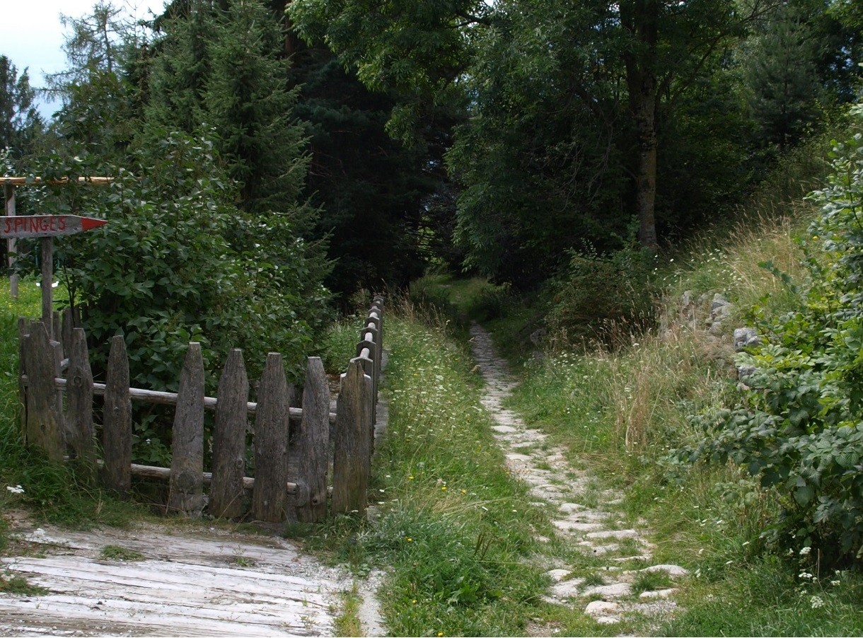 Teil des alten Steinplasterweges