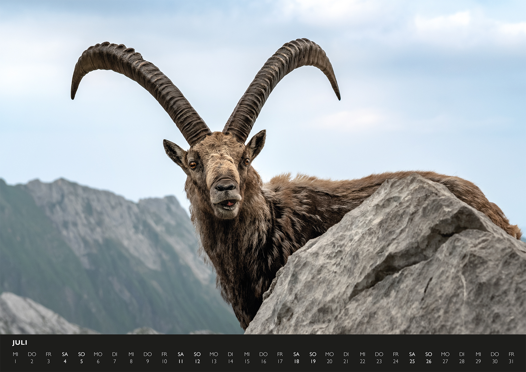 Alpsteinkalender