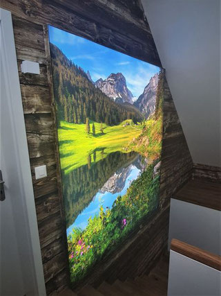 Marcel Schiegg, Referenz, Haas Swiss, Haas die Werbemanufaktur, 3D Tabete, Sämtisersee, Alpstein, Appenzellerland, Wandbild, Appenzell