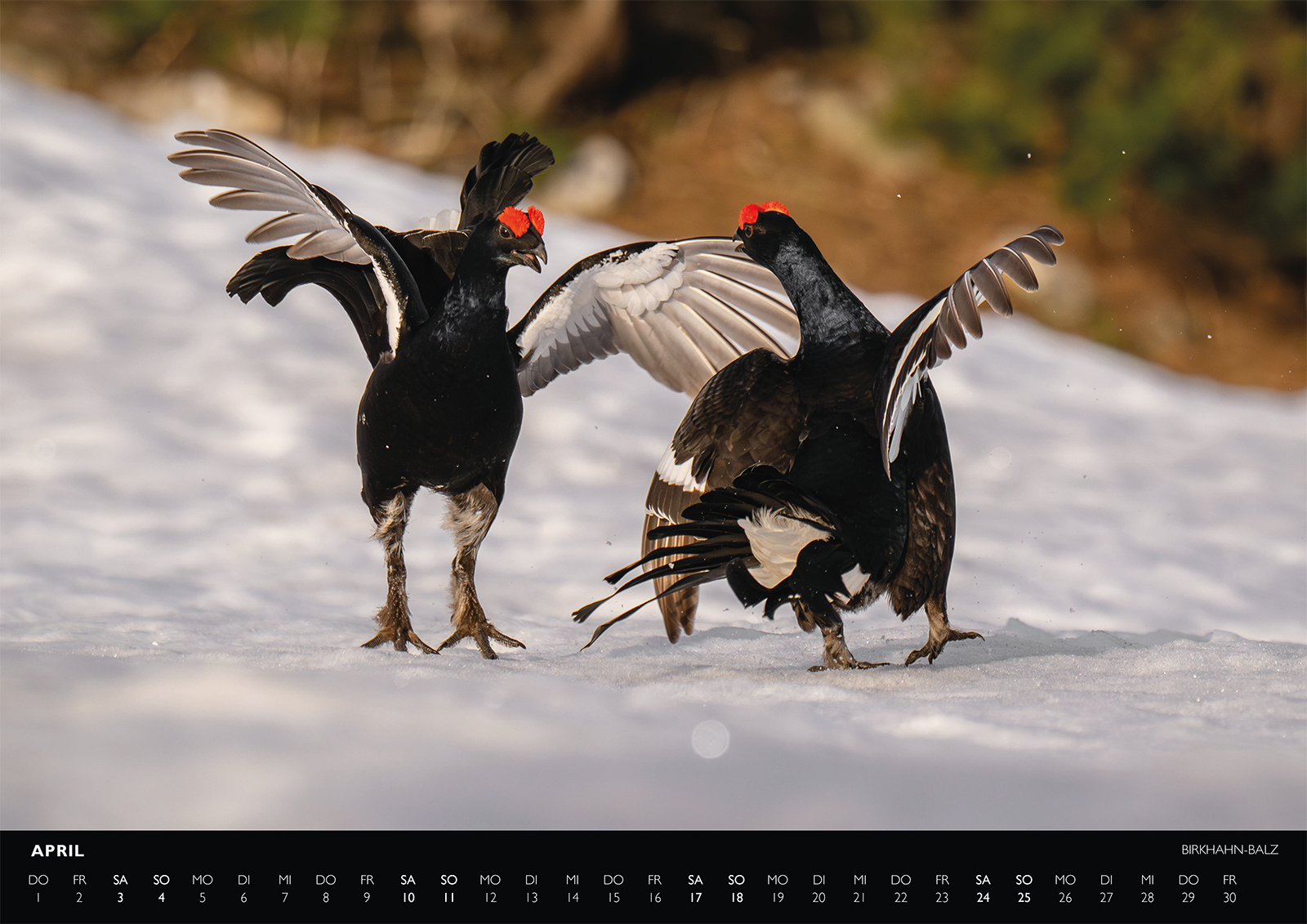 Alpstein Kalender, Alpsteinkalender, Bildkalender Alpstein, Bilder Alpstein