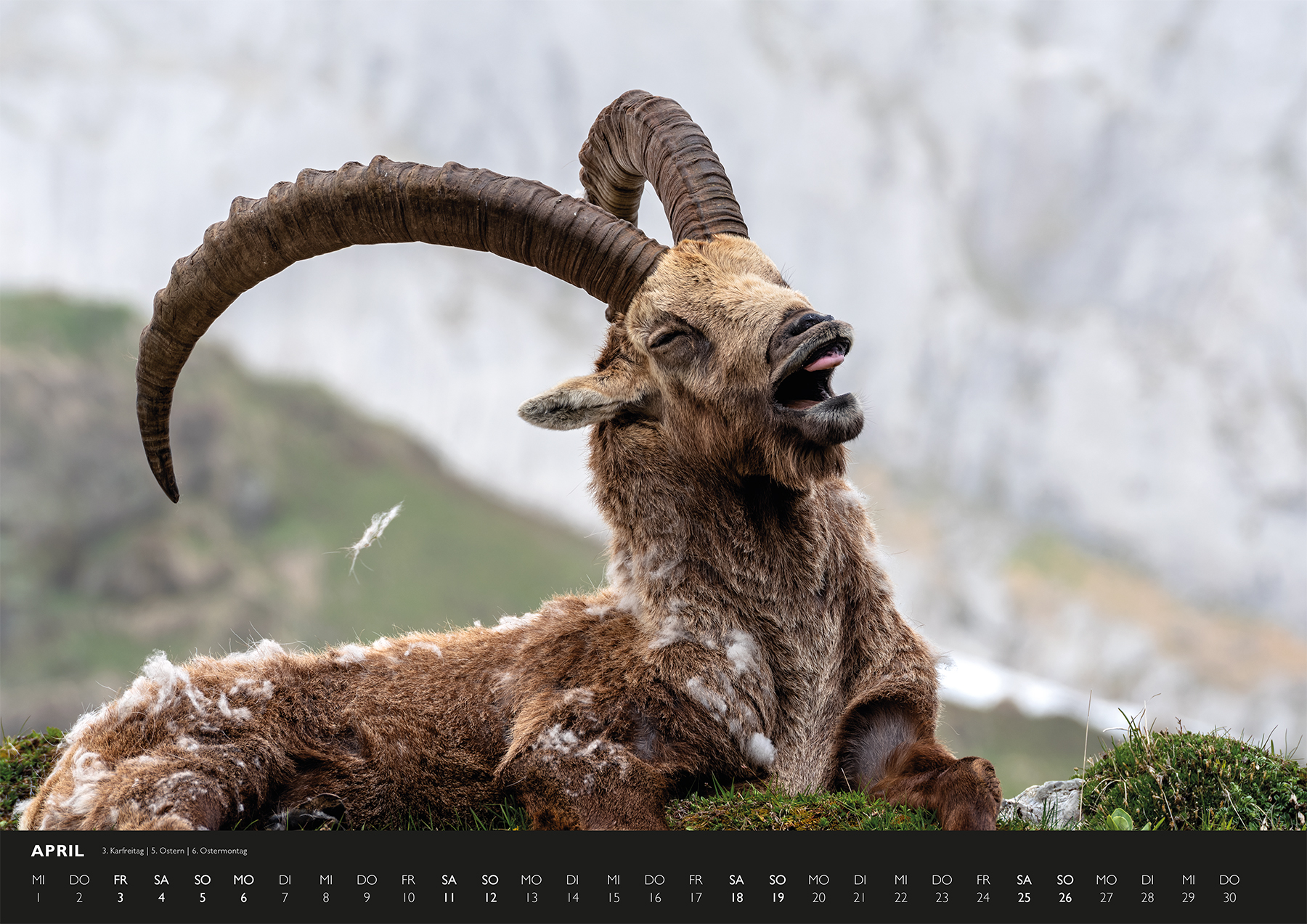 Alpsteinkalender