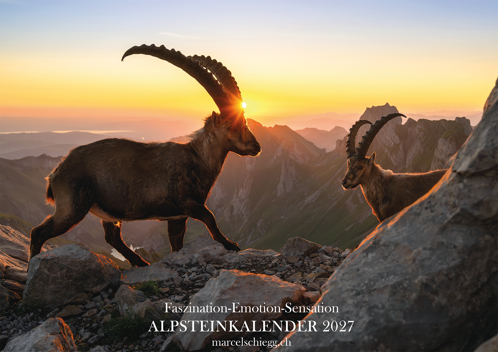 Alpstein Kalender, Alpsteinkalender, Bildkalender Alpstein, Bilder Alpstein