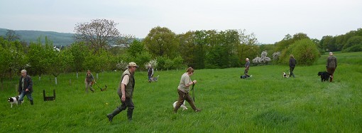 Hundeführerlehrgang 2013