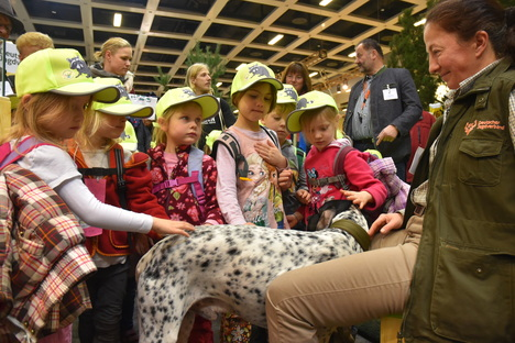 Dass gut ausgebildete Hunde bei der Jagd unverzichtbar sind, wissen Hundetrainierin Alexandra Weibrecht und die Mitarbeiter des Jagdgebrauchshundverbandes (JGHV). Quelle: Kapuhs/DJV