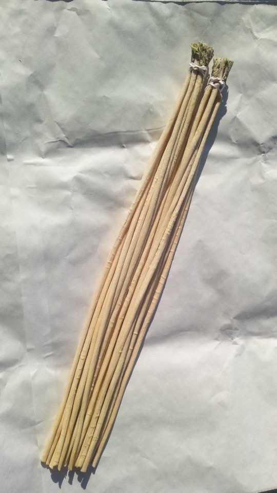 白太郎という品種。下関の中でも吉母という地域でしか作れないという