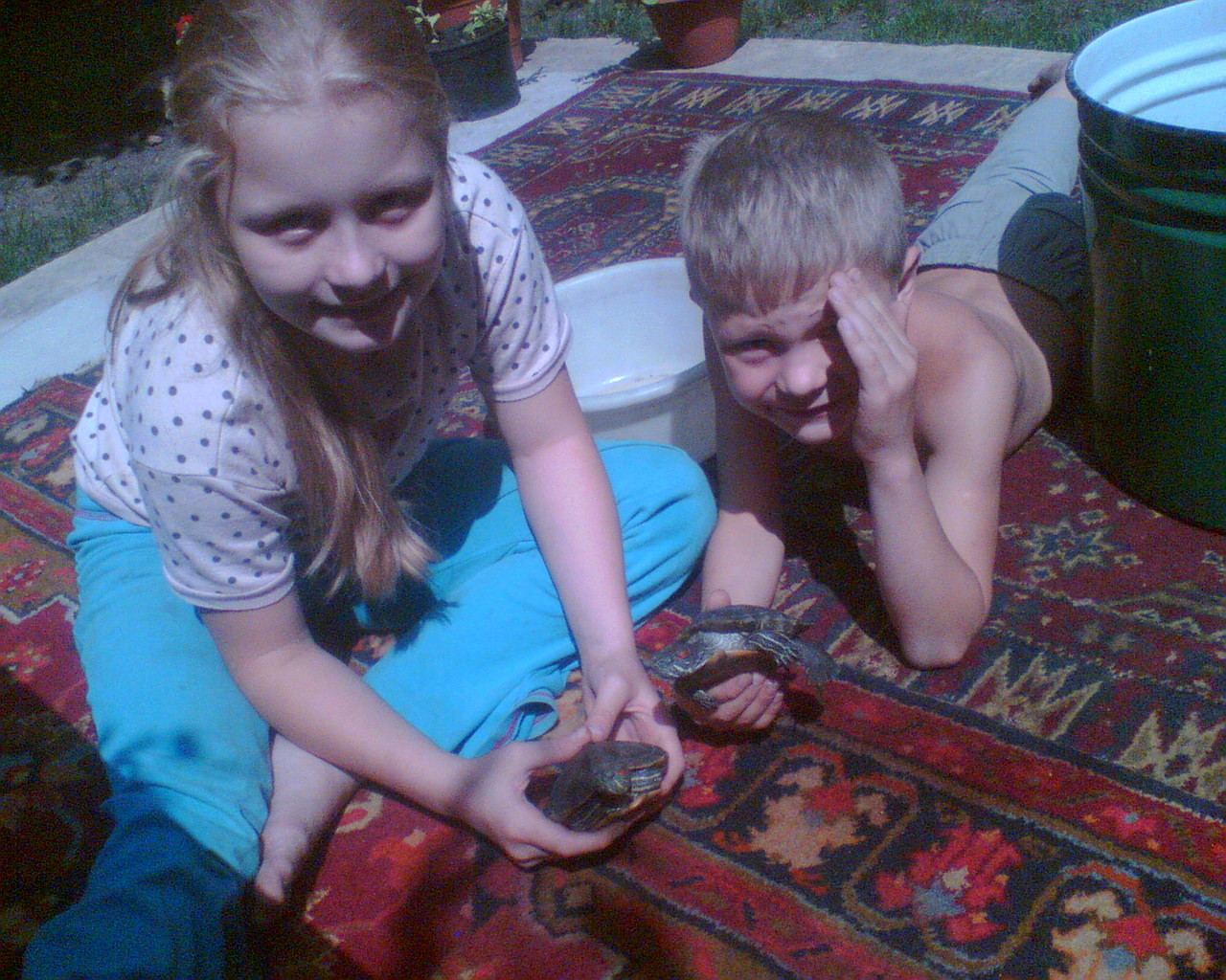 Даша и Илюша с черепахами