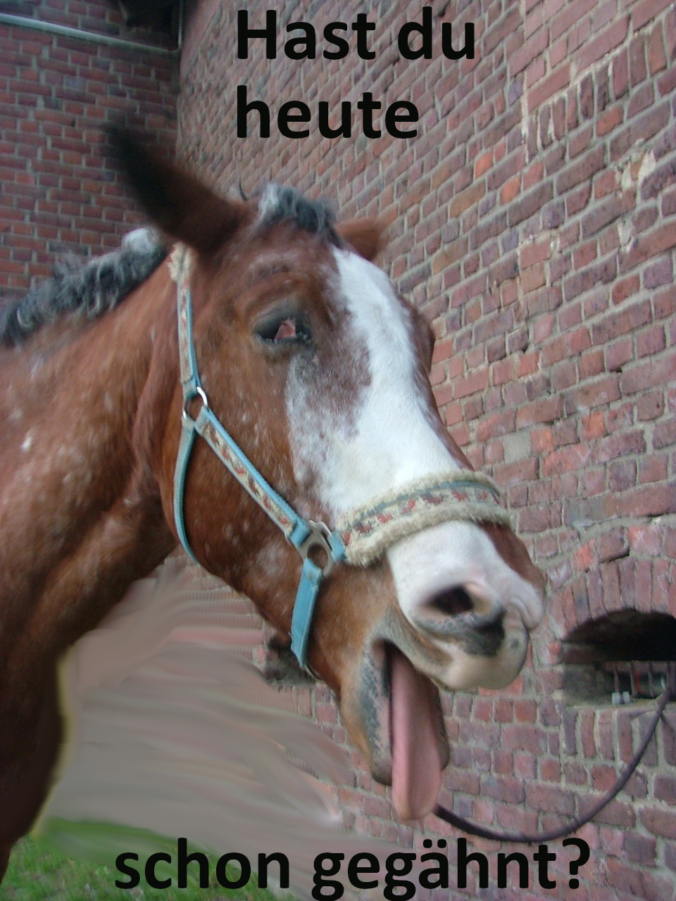 Achtsames Gähnen gegen Stress?