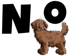 Buchstaben N und O. Ein dicker brauner Hund steht unter einem Buchstaben.