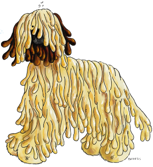 Knuffiger Briard Cartoon. Der Hund hat sehr langes, zotteliges Fell in der Farbe fauve. T-Shirts, Pullover, Jacken für Hundefreunde.