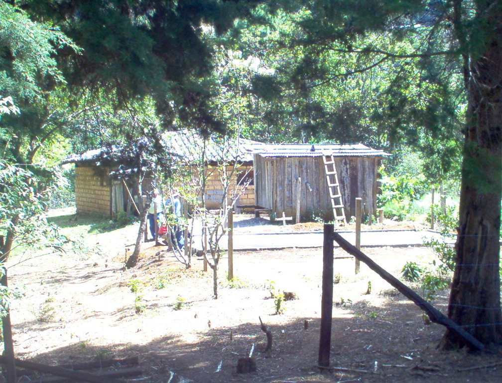 Bau eines Trockenhofes in Nahuaterique, Februar 2010