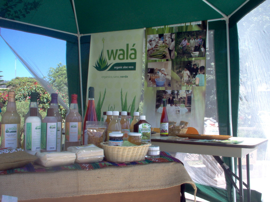 Aloevera-Produkte, Marke Wala,  auf dem Marcala-Festival, März 2010