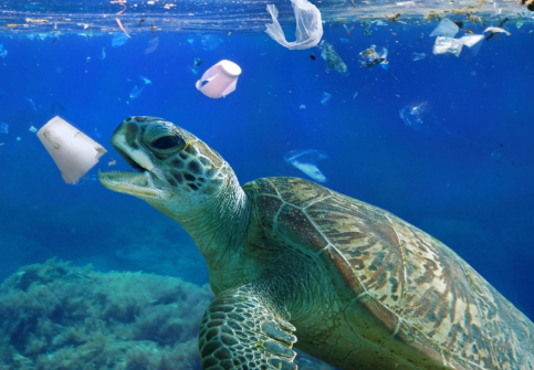 GADGET SOSTENIBILI  realizzati dalla plastica pescata dal mare