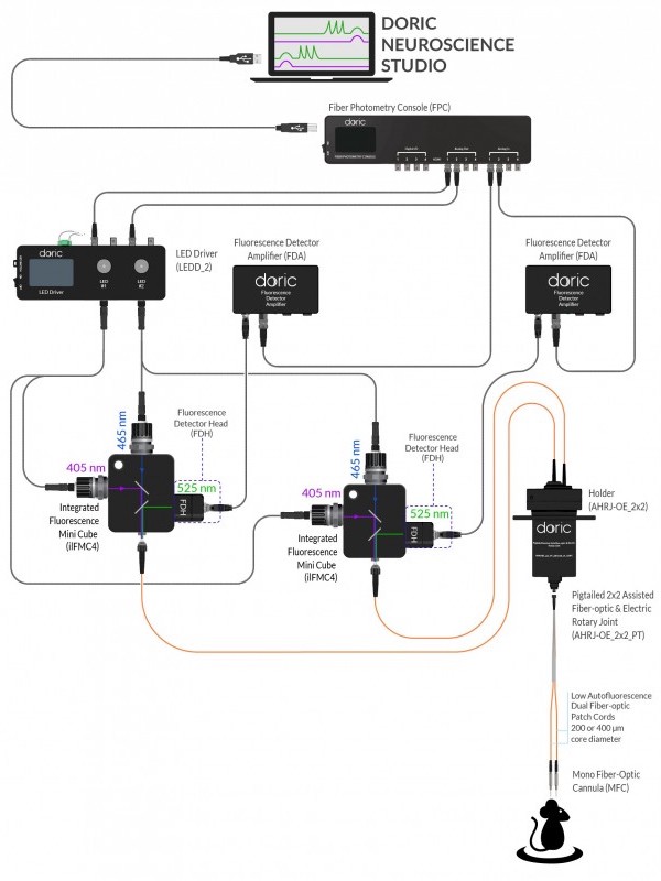 1-site Fiber Photometry System - GCaMP Isosbestic and Functional Excitations - 405 and 465 nm