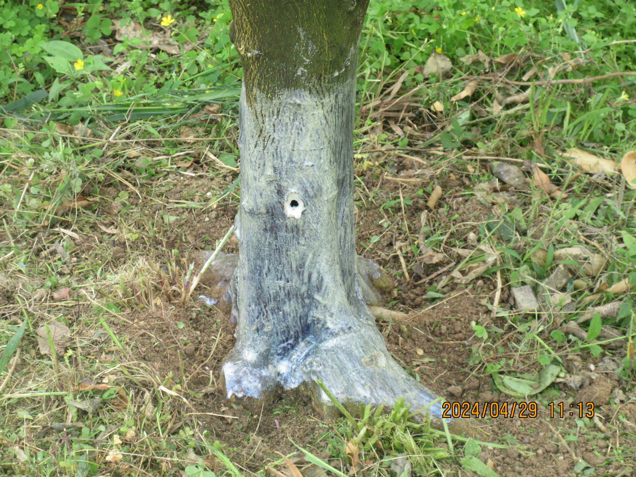 剥離ハーブ くず米 床用樹脂ワックス剥離廃液処理剤 FMミラクルパウダー FM-202 富士