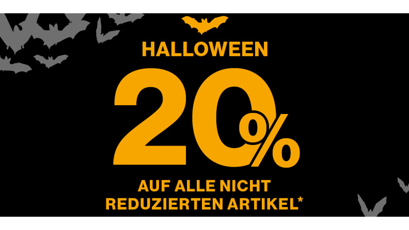 CheckEinfach | Bildquelle: Campdavid-soccx.de