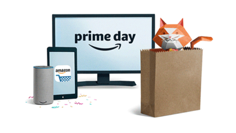 CheckEinfach | Bildquelle: Amazon.de