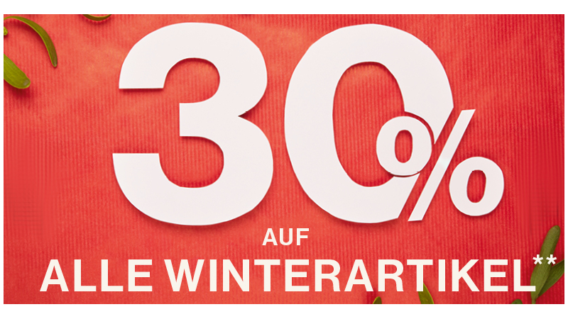 CheckEinfach | Bildquelle: Campdavid-soccx.de