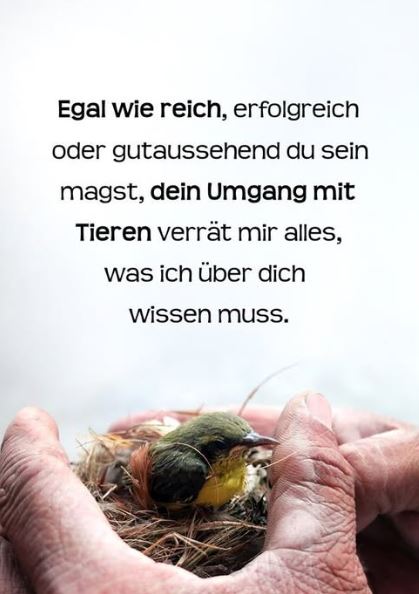 Quelle: Facebook - Tierwelt