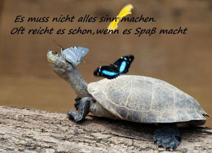Quelle: Facebook - Schöne Sprüche
