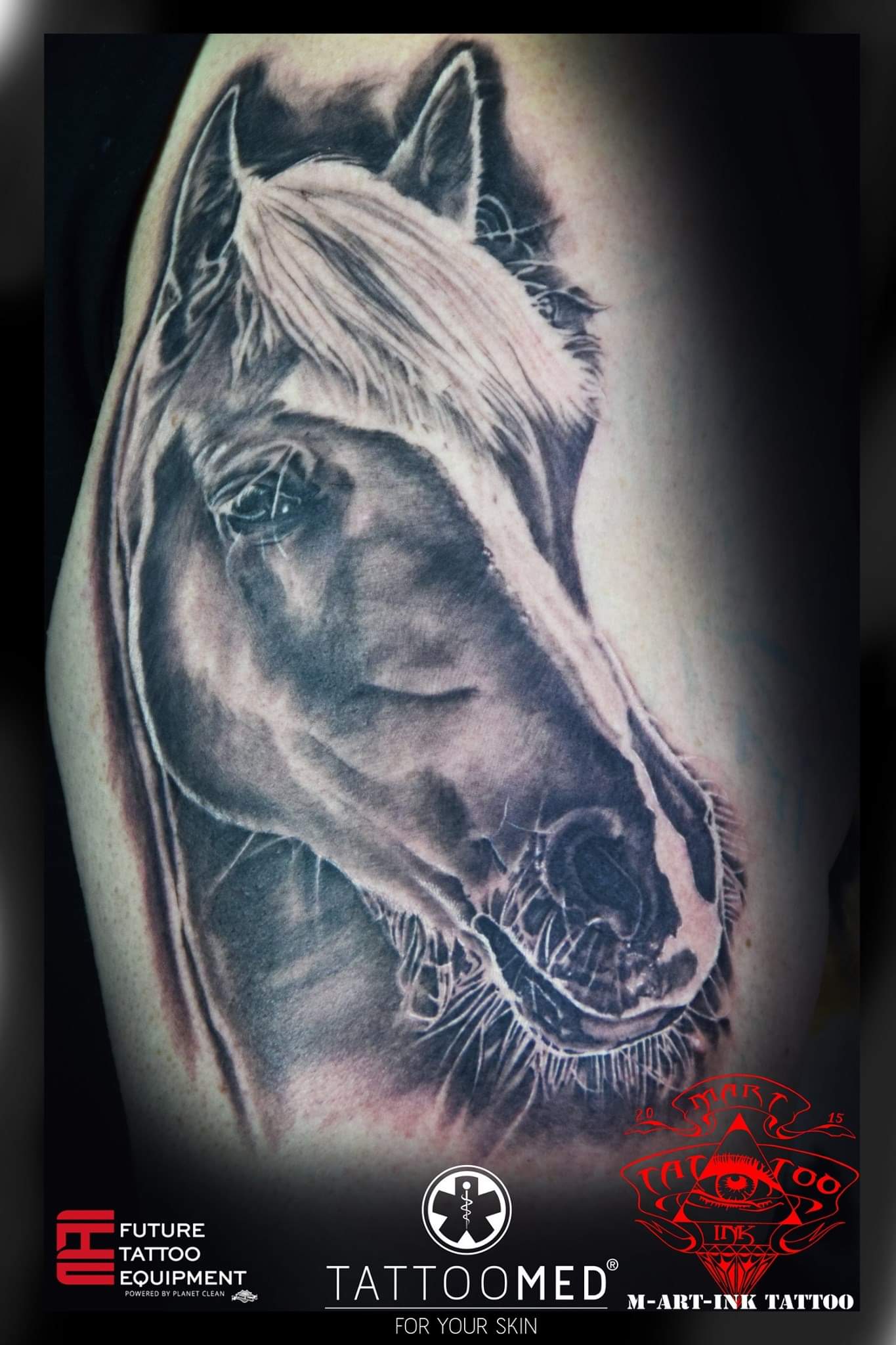 Pferd / Black and gray / Tattoo / Realistic / Portrait / Terminbuchung