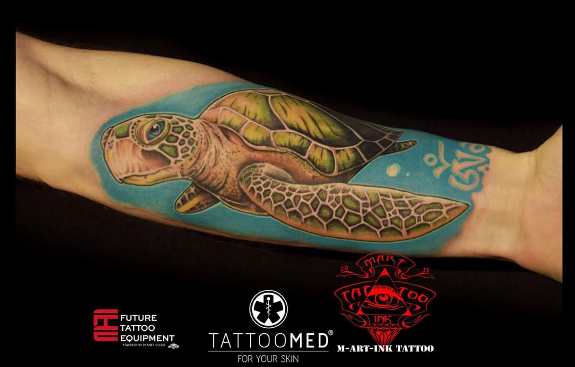 Schildkröte / Color / Tattoo / Realistic / Terminbuchung