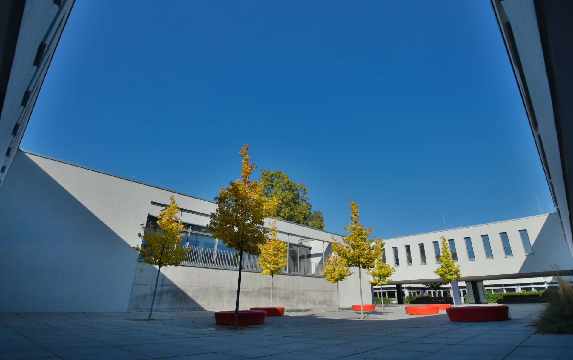 Impressum - Grundschule Ludwig-Schwamb-Schule Mainz