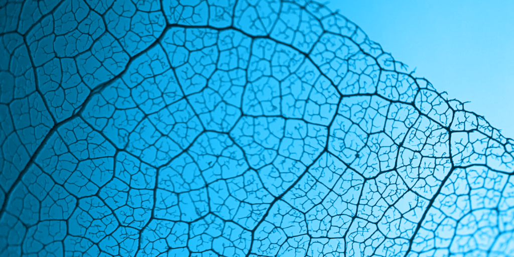 AI-Capacity-Development. Quelle: HIIG