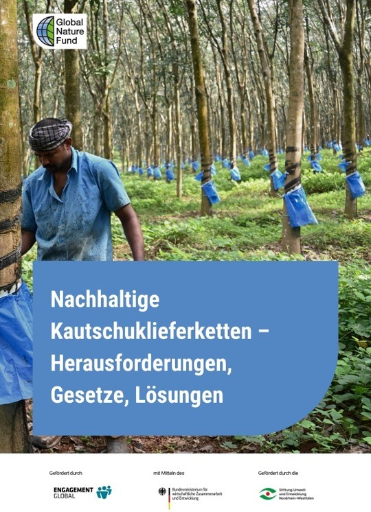 Factsheet „Nachhaltige Kautschuklieferketten“ vom GNF © GNF 